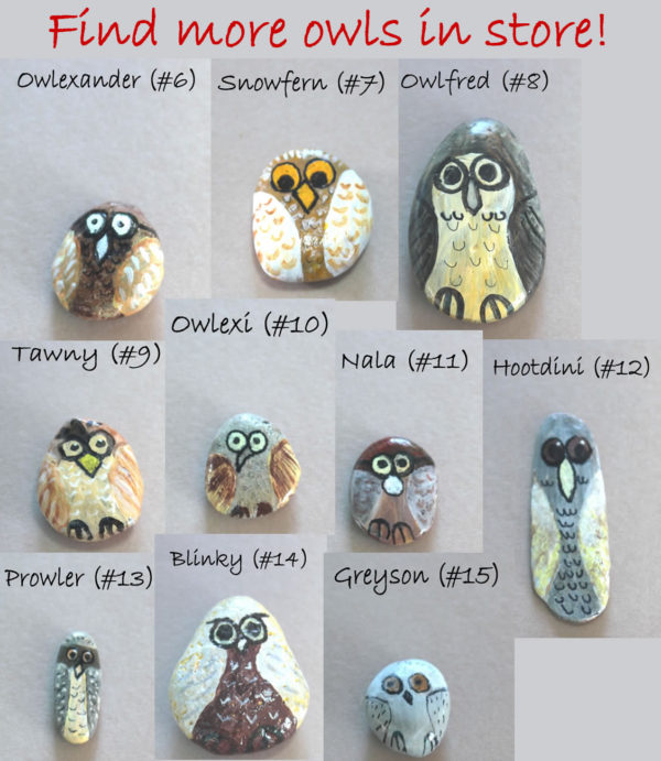 hand painted owl rocks