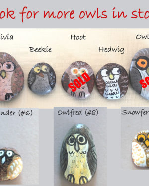 cute, fun, hand painted owl rocks