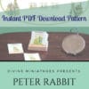 Peter Rabbit miniature seed packs printable in 1/12 scale instant download