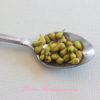 miniature pears in 1:12 scale