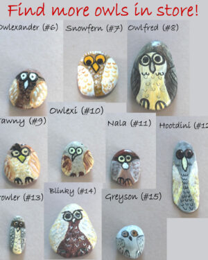 hand painted owl rocks