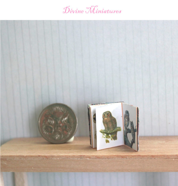 Illustrated Miniature Book, "Owls" 1/12 Scale Dollhouse Miniature, Dollhouse Book, Miniature Bird Book, Animals Book, Owl Book, Book of Owls - Image 3