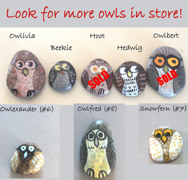 cute, fun, hand painted owl rocks