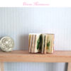 miniature book medicinal herbs in 1-12 scale