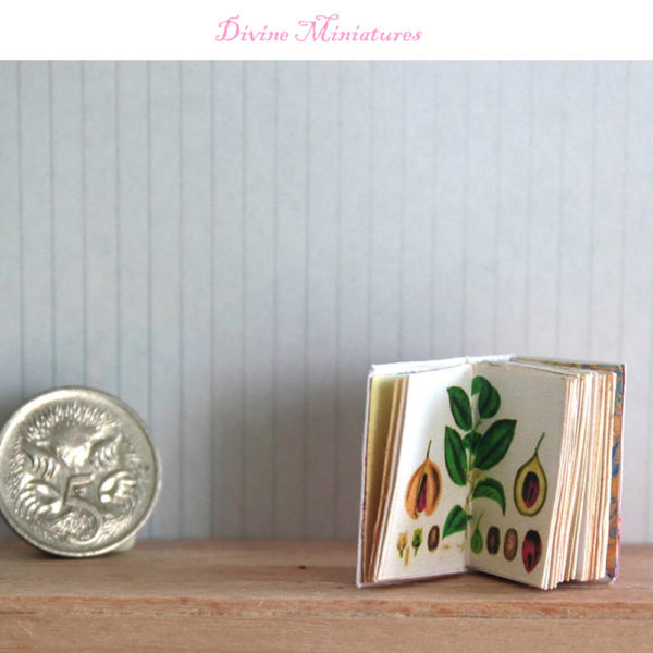 miniature book medicinal herbs in 1-12 scale